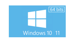 Microsoft Windows 11